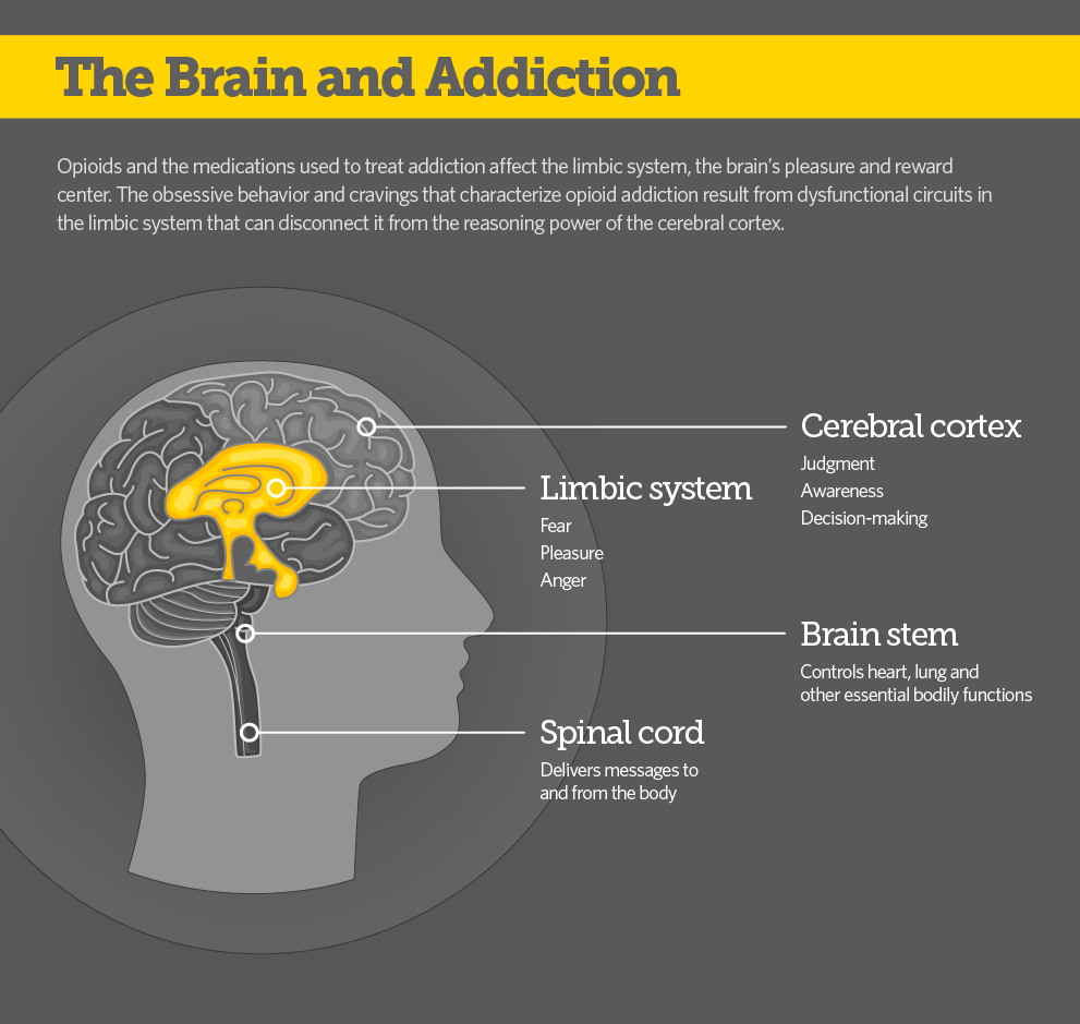 Opioid Painkiller Addiction: Telemedicine in New Mexico